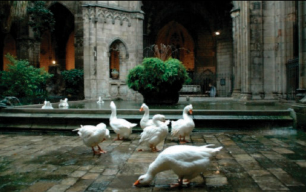 Le oche della piccola Eulalia – L’Osservatore Romano